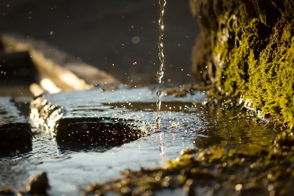 Klares Wasser über moosigen Steinen als Symbol für Ruhe im Alltag